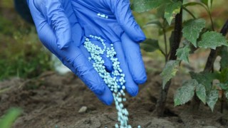 İran ve Katar’daki kesinti gübre fiyatlarını artırdı