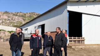 Karacabey Merinosu Yetiştiriciliğinde Önemli İnceleme!