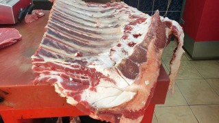 Kars Veteriner Hekimleri Odası tüberküloz için uyardı