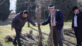 Konya’da çiftçilere fidan desteği başladı