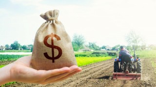 Ömer Fethi Gürer: Gıdada 2 milyar $ fazla verildi