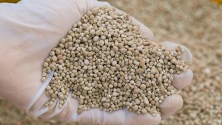 Orta Doğu Krizleri Gübrenin Küresel Tedarikini Tehdit Ediyor