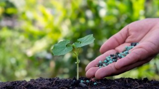 Orta Doğu’daki gerilim gübre piyasasında kriz yarattı