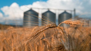 Rusya’nın Türkiye’ye Tarım İhracatı 3,8 Milyar Dolar