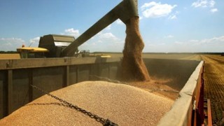 Son Dakika... Küresel buğday fiyatları yükseldi