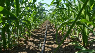 SON DAKİKA... Mazotun tamamı, gübrenin yarısı karşılanacak