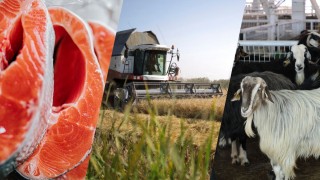 Tarım Bakanlığı: IPARD III Programı 2026 Çağrı Takvimi Açıklandı