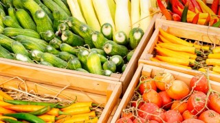 Tarım-ÜFE Şubat Ayında Yıllık %40,10 Yükseldi