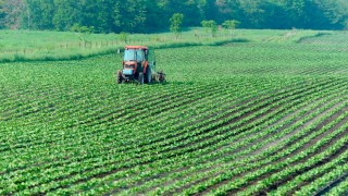 Tarım ve Orman Bakanlığı ÇKS Ürün Güncelleme Başvurularını Başlattı