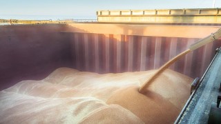 The Andersons: ABD buğday ihracatı düşecek