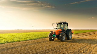 TÜİK: Tarım-GFE Ocak 2026’da %30,59 arttı