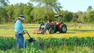 TÜİK: Tarım İşçisi Ücretleri 2025’te %37,8 Arttı