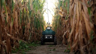 Upside Robotics mısır için gübre tasarrufu sağlayan robot geliştirdi