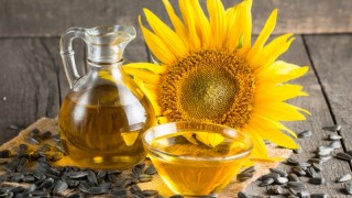 USDA: Türkiye ayçiçeği ithalatını artırıyor