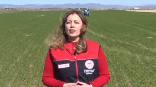 Ziraat Mühendisi Korkmaz: Doğru gübreleme verim için kritik