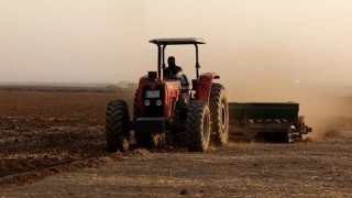 ABD’de kuraklık buğday piyasasını yukarı taşıyor
