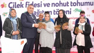 Adana Büyükşehir Tufanbeyli’de 70 Bin Fide, 20 Ton Nohut Dağıttı