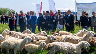 Adana’da 245 dekarlık mera ıslah edilerek üretime kazandırıldı