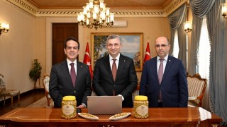 Antalya Tavşan Yüreği Zeytini için AB'ye tescil başvurusu yapıldı