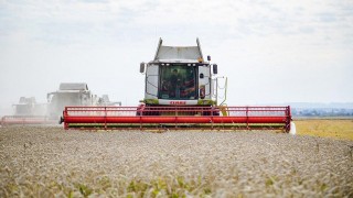 Bakan Yumaklı: Hububat alımında çiftçi maliyetleri dikkate alınacak