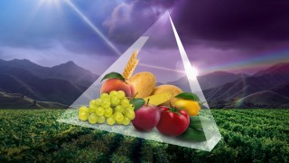 Bayer Ambition Prime ile bitki beslemede yeni ürün sundu