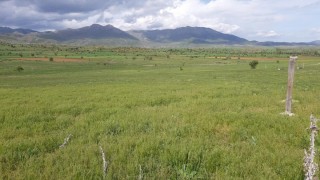 Besicilerin Dikkatine! Kurallara Uymayana Ağır Cezalar Var