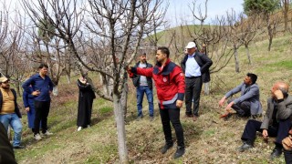 Bingöl İl Tarım Müdürlüğü Meyve Ağaçları İçin Kurs Düzenliyor