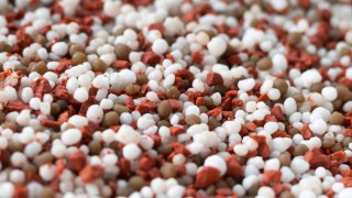 Bloomberg: Savaş Tedariki Vurdu, Hindistan 2,5 Milyon Ton Gübre İçin İhaleye Çıktı