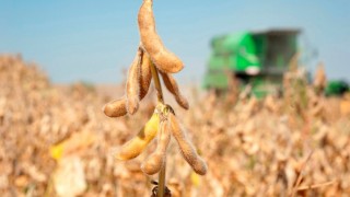 Brezilya’da Soya İhracatı Karayolu Taşımacılığını %15 Artırdı