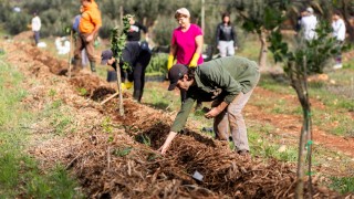 Buğday Derneği: MAPPING Projesi Akdeniz’de Başladı