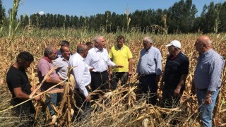 CHP’li Kadim Durmaz: Mısır ithalatı çiftçiyi zor durumda bırakır