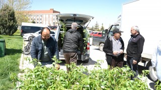 Çiftçiye Yüzde 50 Hibeli Fidan Desteği