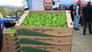 Çiftçiye Yüzde 75 Hibeli Sebze Fidesi Desteği Başlıyor