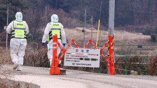 Çin’de İlk Kez SAT1 Tipi Şap Hastalığı Tespit Edildi
