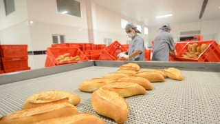 Ekmek Fiyatı 17,5 TL Oldu