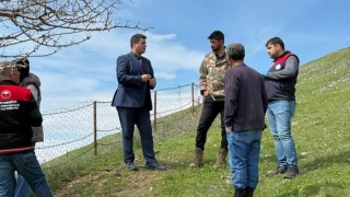 Elazığ Sivrice’de Meraya Yıldırım Düştü: 4 Hayvan Telef Oldu