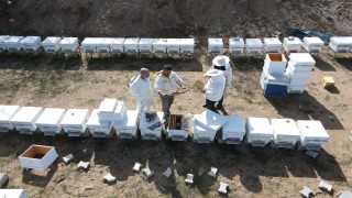 Elazığ’da Arıcılıkta İlkbahar Bakım Eğitimi Verildi
