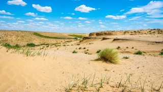 FAO ve WMO Uyardı: Küresel Tarımda Aşırı Sıcaklık Riski