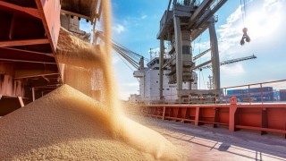 FAS: Ukrayna Tahıl İhracatı Yüzde 22 Geriledi