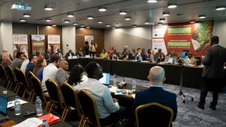 Fildişi ve Gana kakao hastalığına karşı birleşti