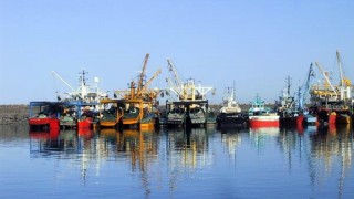 Giresun İl Tarım Duyurdu: Denizlerde Av Yasağı 15 Nisan’da Başlıyor