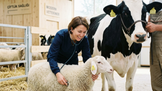 Giresun İl Tarım Müdürü Yılmaz'dan Veteriner Hekimler Günü Mesajı