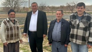 Gürer: Niğde’de çilek üreticisi zor durumda