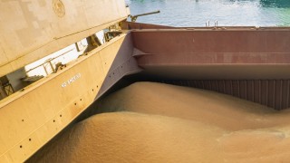 Hindistan hükümeti buğday ihracat kotasını 5 milyon tona çıkardı