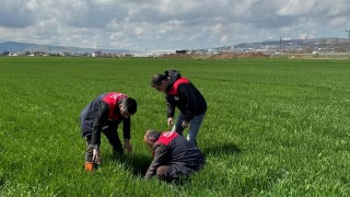 İl Tarım Müdürlüğü Hububatta Hastalık Riskine Karşı Uyardı