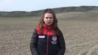 İl Tarım Ve Orman Müdürlüğü, Nohut Üreticilerini Uyardı!