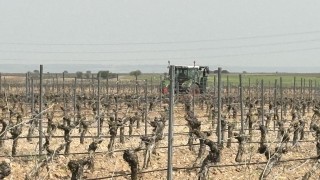 İspanya’da şarap üretimi ve tüketimi gerileme gösterdi