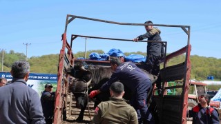 Kandıra’da damızlık manda dağıtımı yapıldı