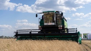 Küresel Buğday Arzı 1,1 Milyar Tona Çıktı