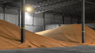 Küresel piyasada buğday fiyatları: Rusya'da yükseliş sürüyor